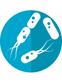 Test microbiota intestinale