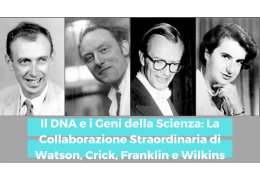 Il DNA e i Geni della Scienza: La Collaborazione Straordinaria di Watson, Crick, Franklin e Wilkins
